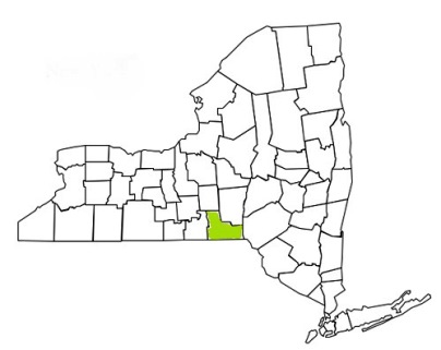 broome county new york fire, fire departments in new york broome county, new york county, ny fire stations, volunteer fire department, broome county new york, broome county fire station numbers, broome county fire jobs, broome county live dispatch, broome county fire departments, broome county ems, broome county ambulance, broome county new york firefighters, broome ems