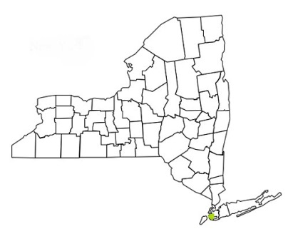 kings county new york fire, fire departments in new york kings county, new york county, ny fire stations, volunteer fire department, kings county new york, kings county fire station numbers, kings county fire jobs, kings county live dispatch, kings county fire departments, kings county ems, kings county ambulance, kings county new york firefighters, kings ems
