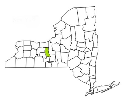 seneca county new york fire, fire departments in new york seneca county, new york county, ny fire stations, volunteer fire department, seneca county new york, seneca county fire station numbers, seneca county fire jobs, seneca county live dispatch, seneca county fire departments, seneca county ems, seneca county ambulance, seneca county new york firefighters, seneca ems
