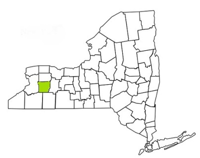 wyoming county new york fire, fire departments in new york wyoming county, new york county, ny fire stations, volunteer fire department, wyoming county new york, wyoming county fire station numbers, wyoming county fire jobs, wyoming county live dispatch, wyoming county fire departments, wyoming county ems, wyoming county ambulance, wyoming county new york firefighters, wyoming ems